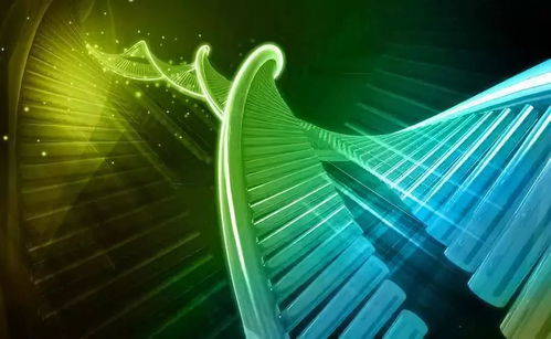 溫州生材所聯合上海交大、浙大成立研發中心，生物基材料技術助力阿爾茨海默癥治療