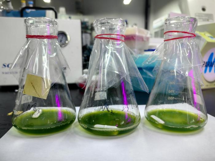 紹興上虞 科技創(chuàng)新驅(qū)動，秸稈變身高價值新材料，譜寫綠色經(jīng)濟新篇章