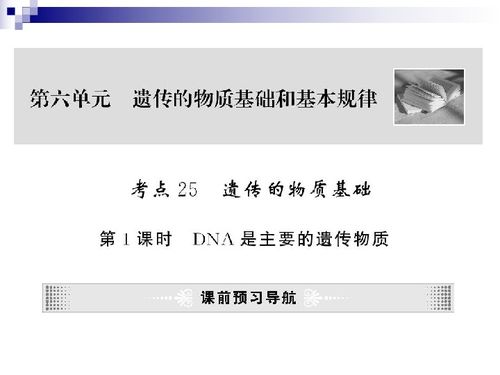 21世紀教育網(wǎng)提供2010屆高考生物第一輪復習精品課件包第六單元下載及生物基材料技術研發(fā)前瞻